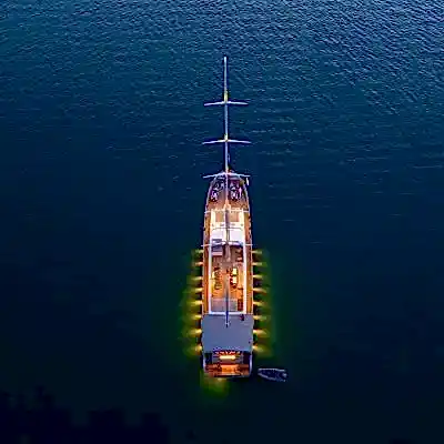 A Marriage Proposal at Sea: The Most Romantic Surprise